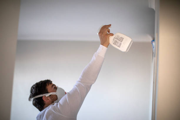 Best DIY Mold Remediation Support Services in Fkville, AL